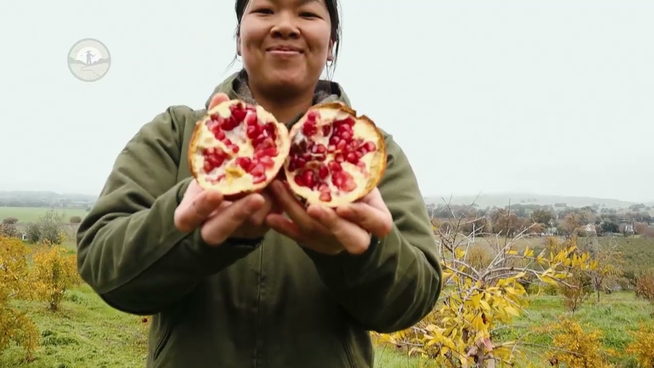 fruitqueen | 2026 California Small Farm Champion Awards