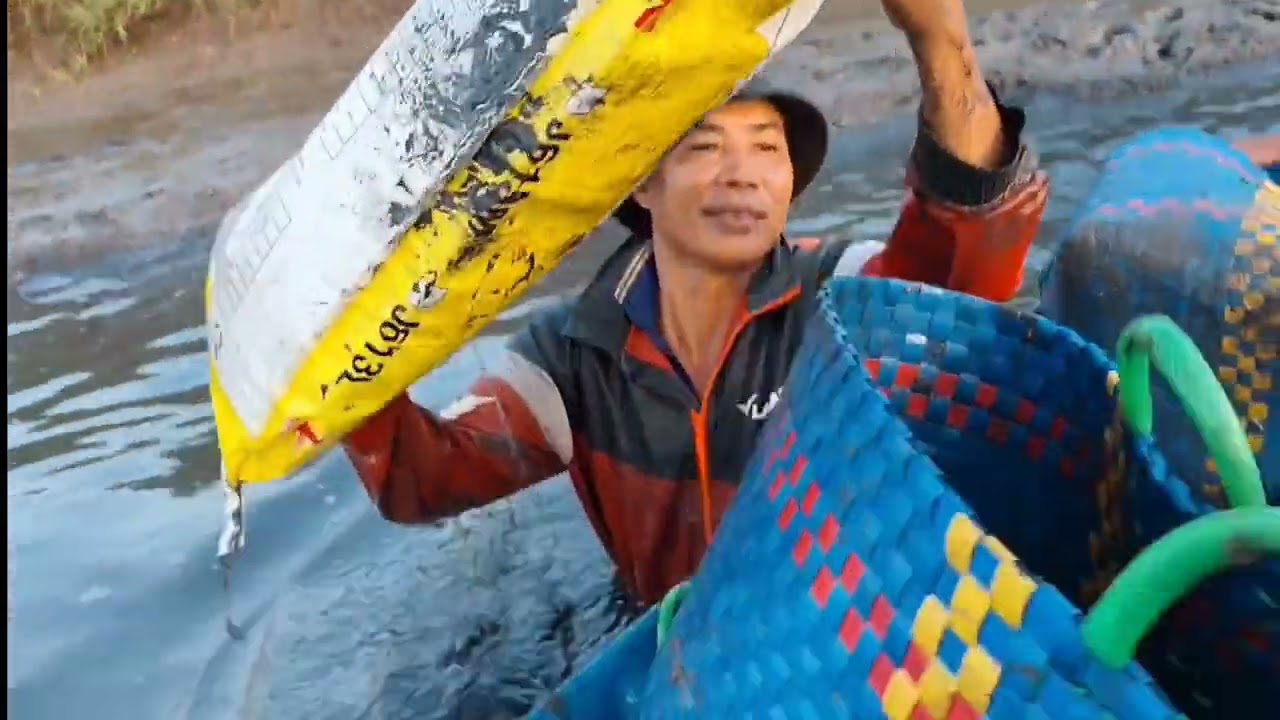 Trải nghiệm Bắt Tôm Cà mau Mới (Bạc Liêu Cũ) Sáng đầy Tiếng Cười Của dân Bạc Liêu #huongviquehuong 
