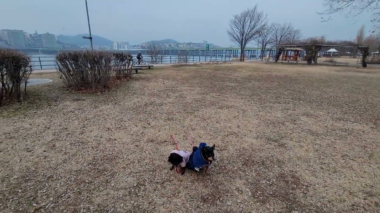 2026년 2월 15일