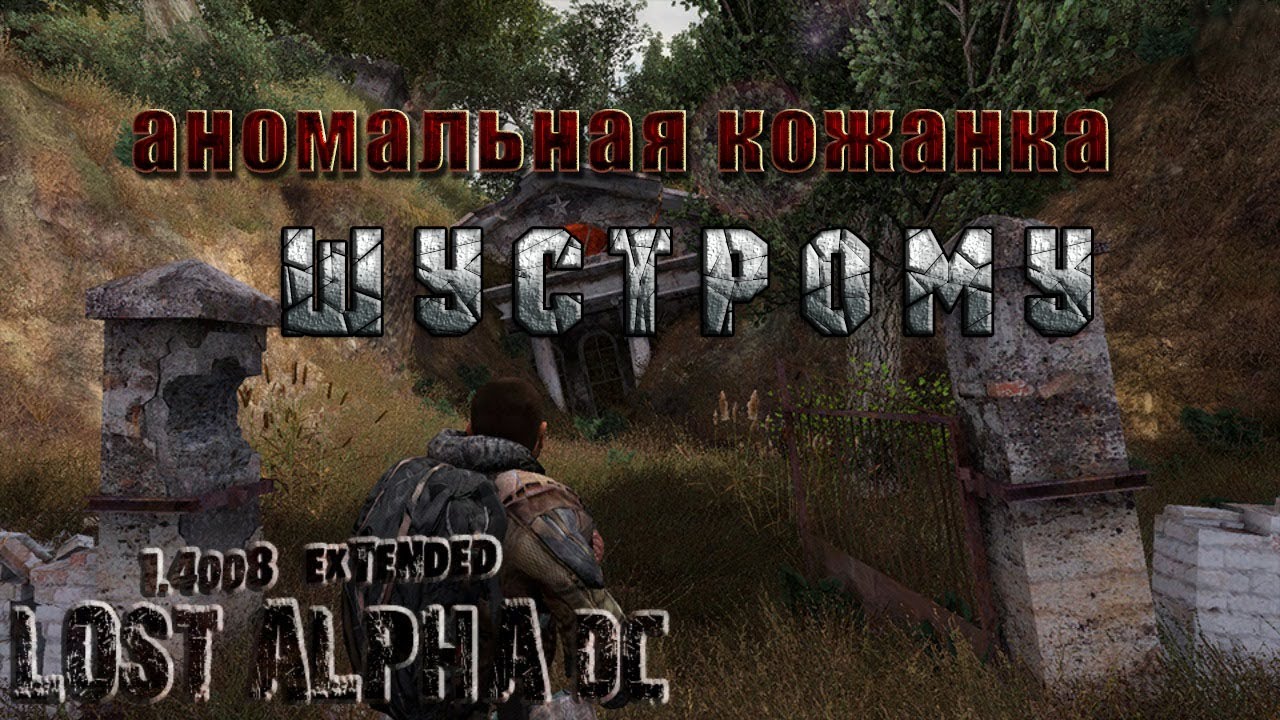 Аномальная кожанка Шустрому, LA DC Extendet
