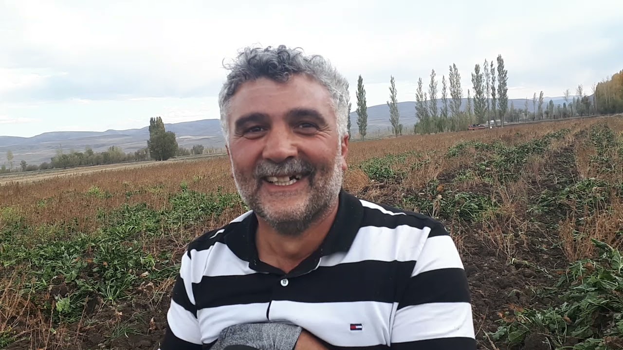 BAYBURT KONURSU KÖYÜNDE ŞEKER PANCARI SÖKÜMLERİ BAŞLADI...
