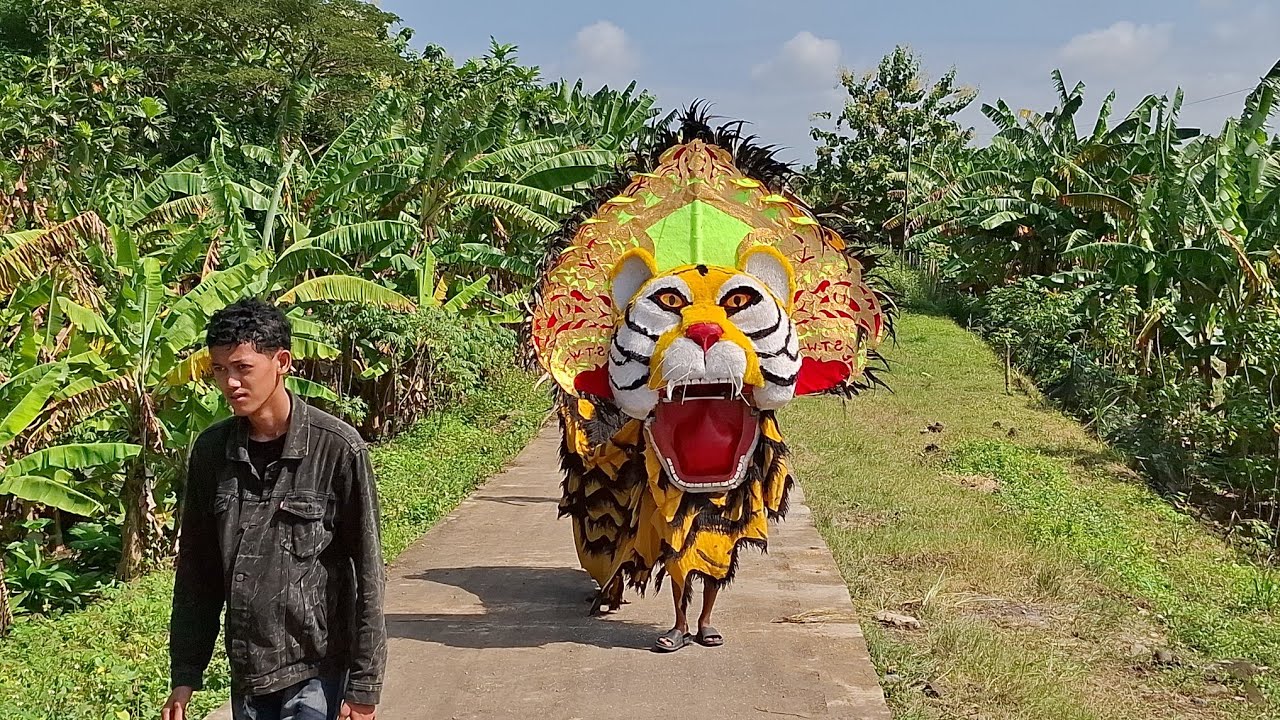 Iring iringan barongan suto wijoyo dan drumband srikandi bumiharjo guntur demak