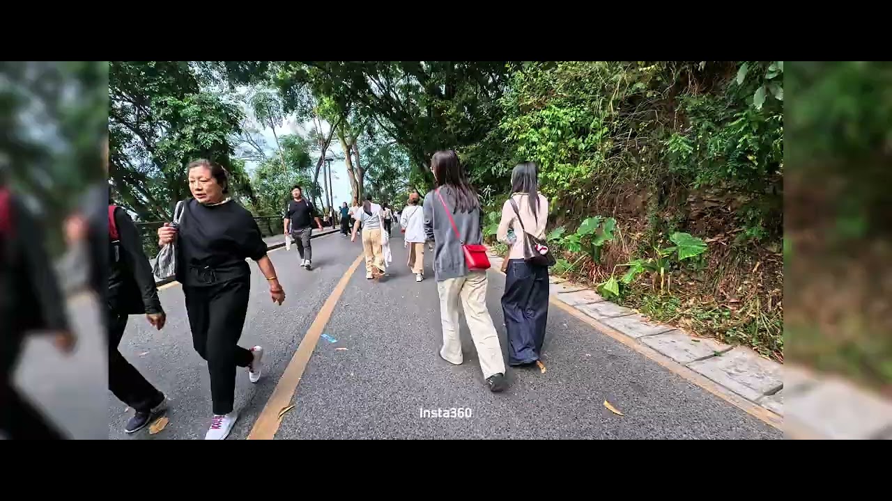 ￼香港行Fairy Lake Botanical Garden 仙湖植物園「春花節」go ￼ultra+ace pro2 拍攝 2月19日2026
