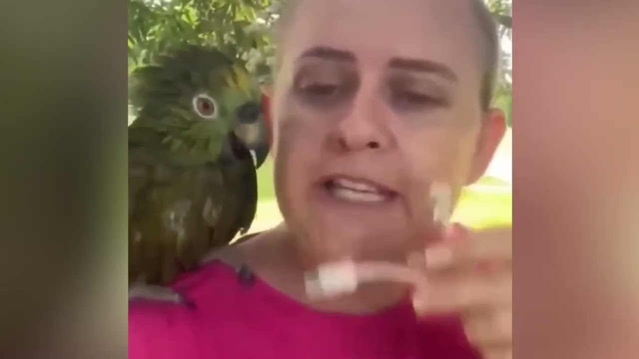 Funny videos dreaming and darting to warm your heart