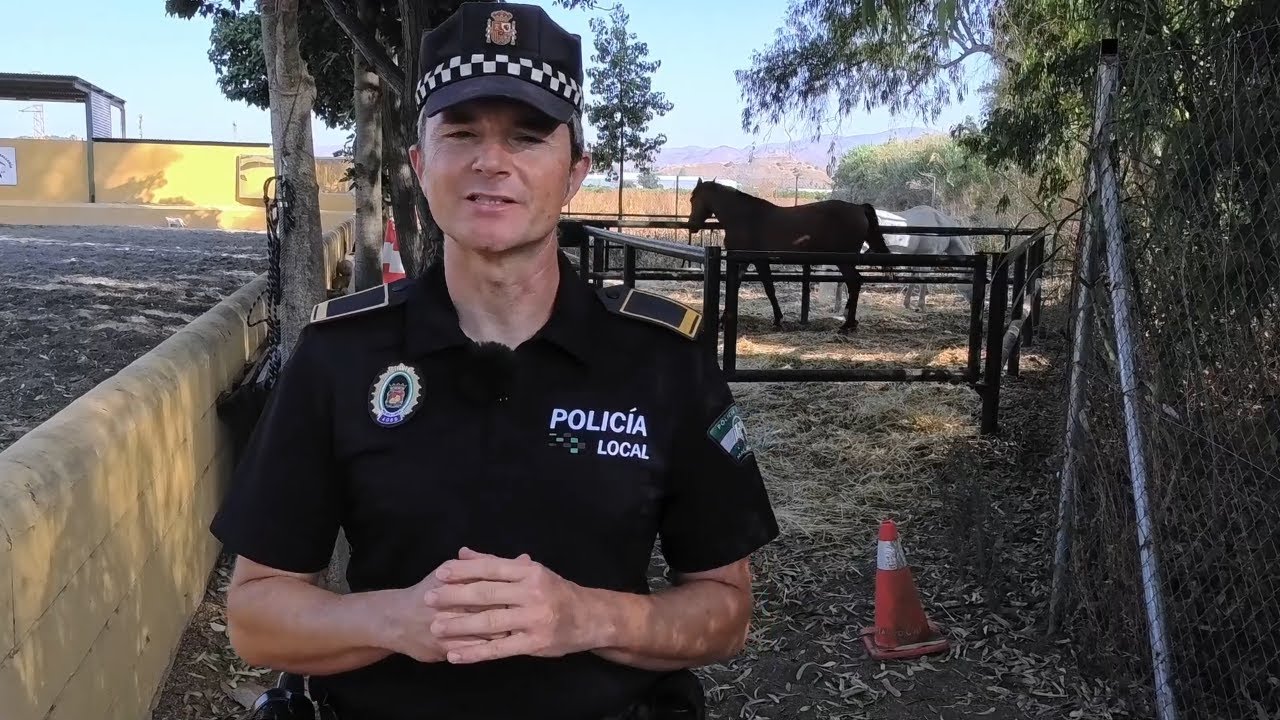#Caballería #PolicíaLocalMálaga 🐴 Ordenanza #FeriadeMálaga 2025 💃Nuevas Normas Caballos y Enganches