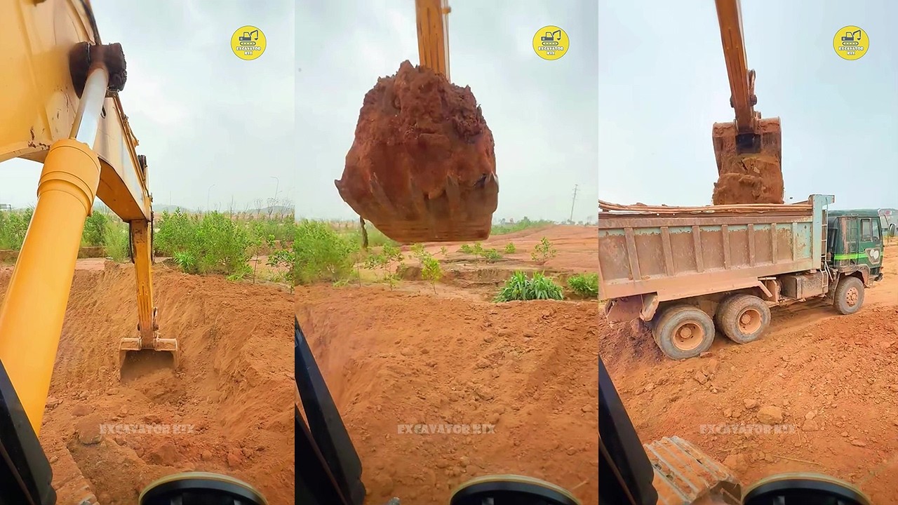 How To Excavators Load Soil Onto Trucks Professionally P1683