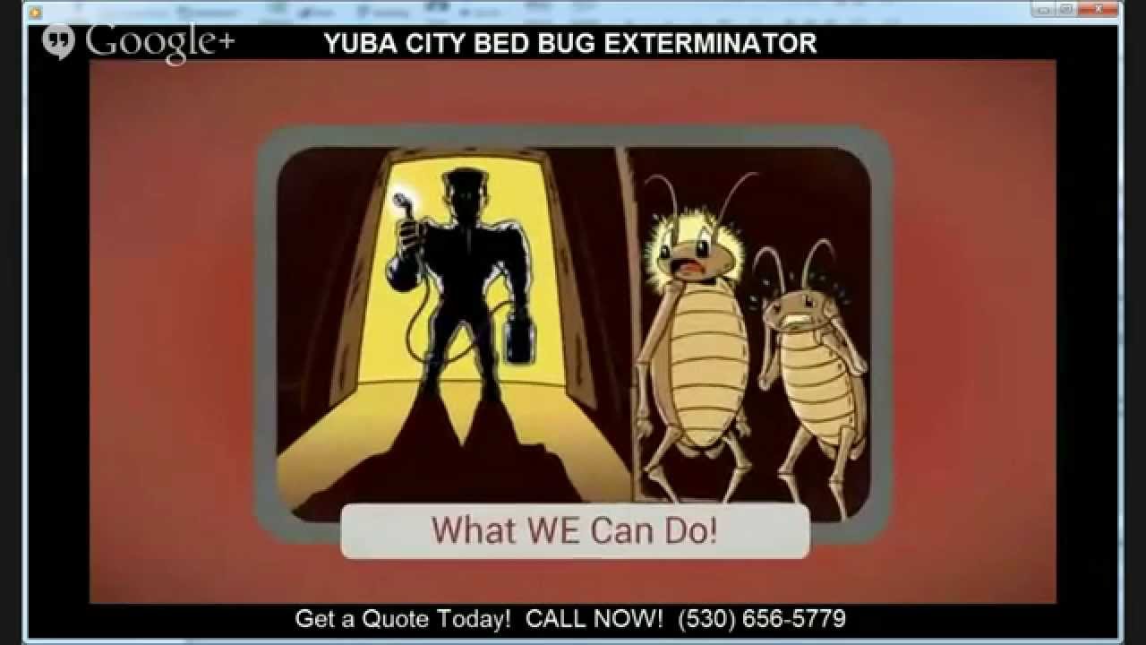Yuba City Bed Bug Exterminator | (530) 656-5779 | Bed Bug Removal Yuba City
