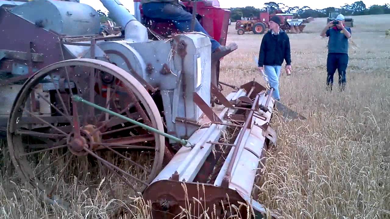 Antique 1937 Sunshine Auto-Harvester in action harvesting wheat