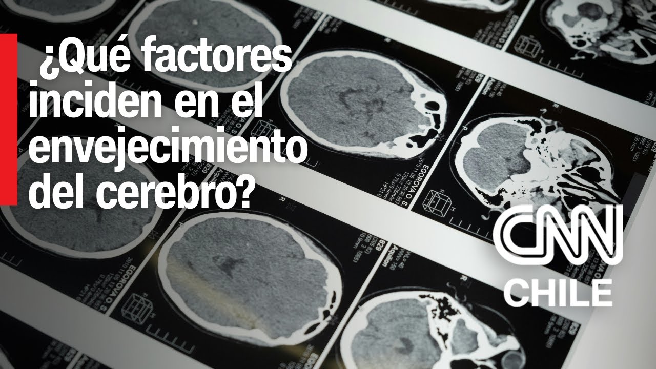 PhD en Neurociencia Computacional explica: Los factores que inciden en el envejecimiento del cerebro