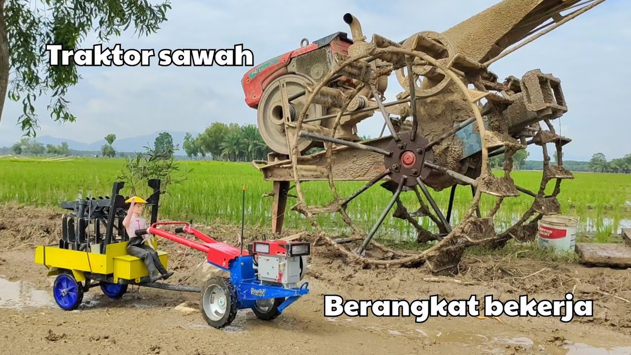 Traktor sawah kecil berangkat bekerja bajak sawah