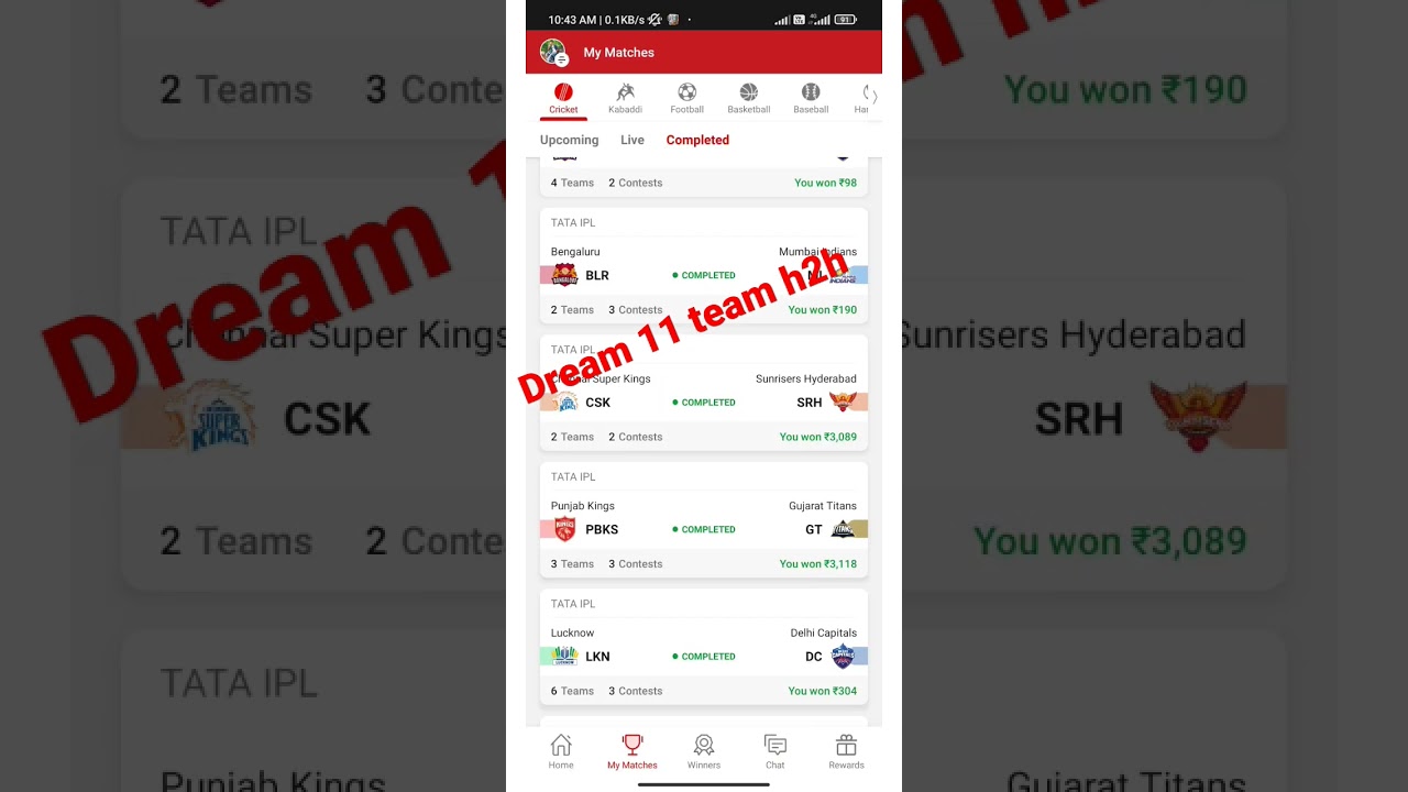 dream 11 h2h team expert dream'11 expert production