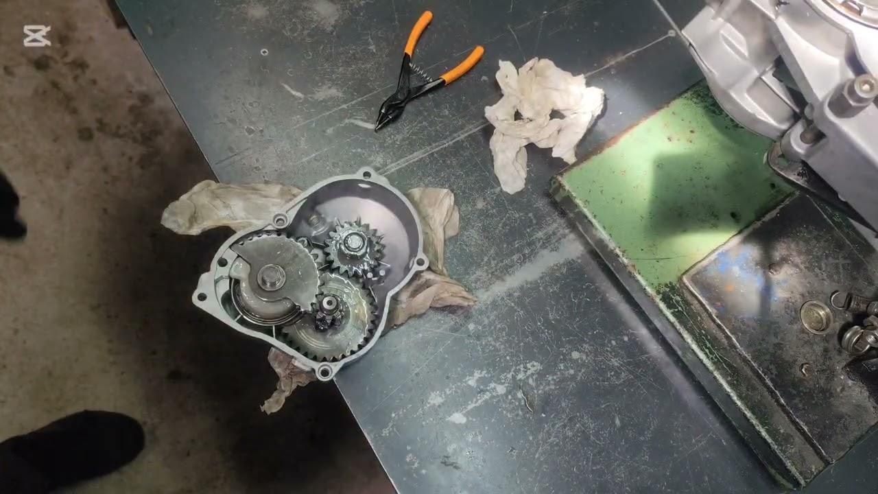 Montagem motor Puch Maxi M50 Part 2 #2stroke #2tempos #puch