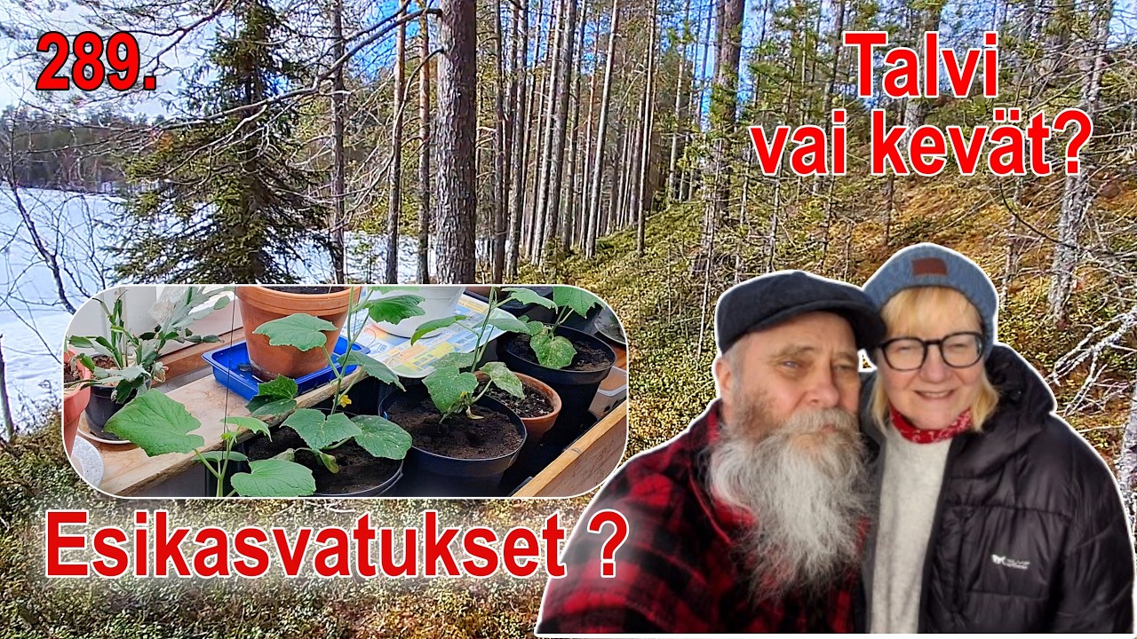 TALV V&Otilde;I KEVAD? &Uuml;rdide k&uuml;lvamine #n&auml;dalavlogi #eelkasvatus #&uuml;rdid #kuusamo #isemajandamine