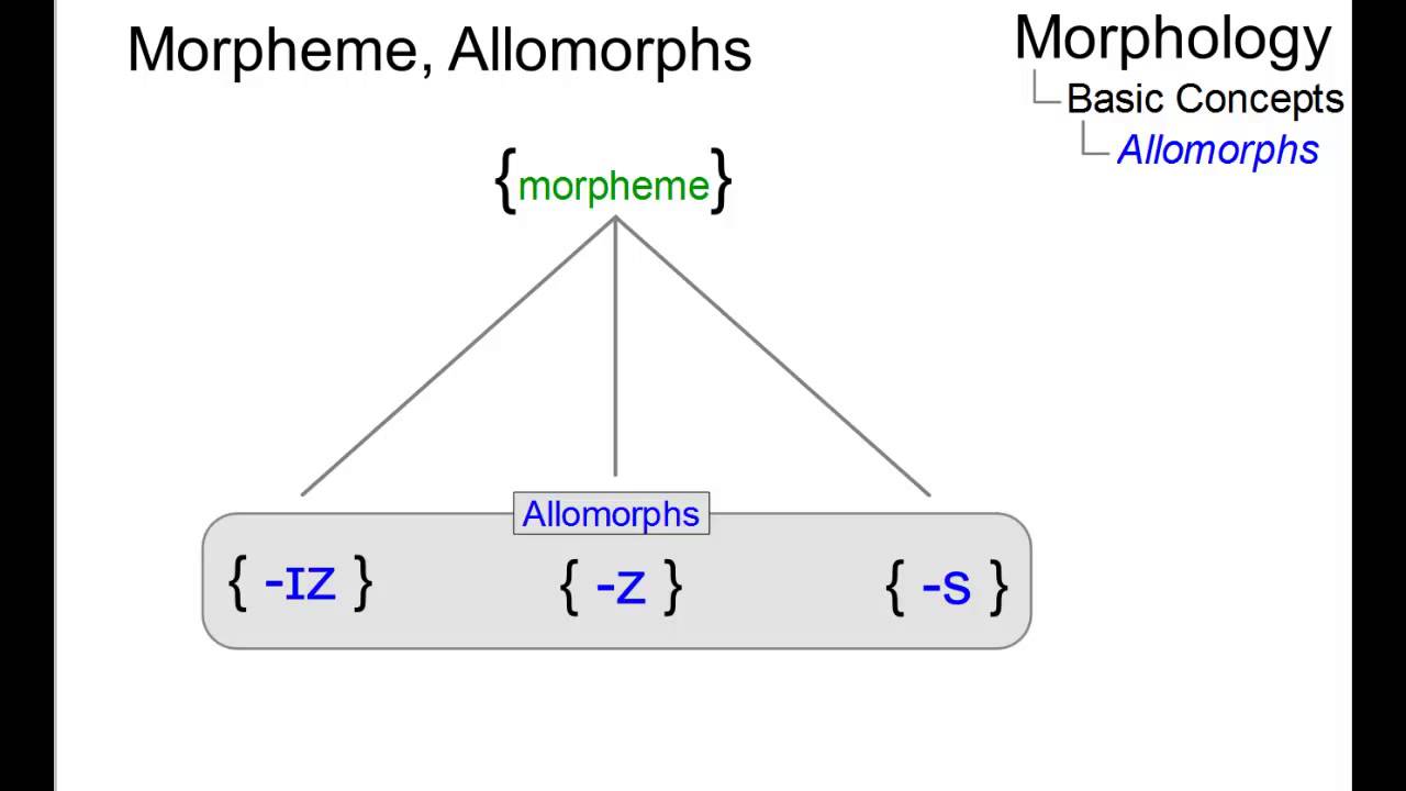 MOR_013 - Linguistic Micro-Lectures: Allomorphs
