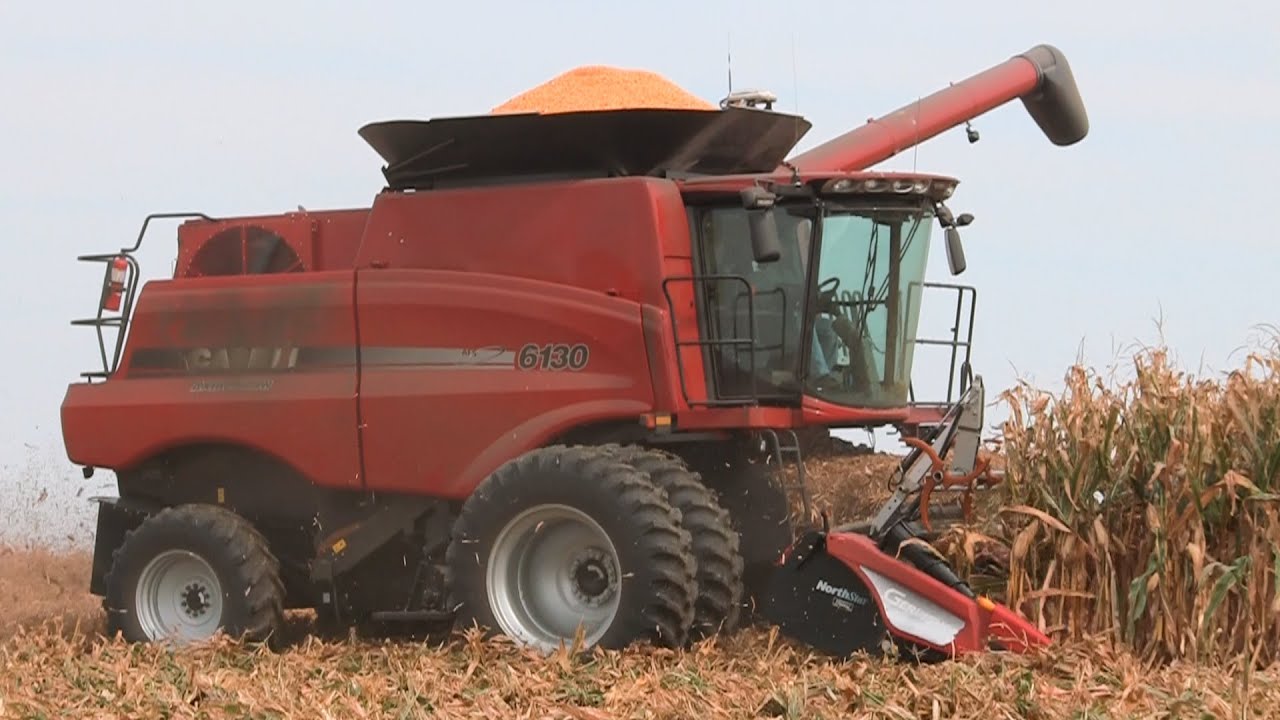 Steve Sauder Farms - Two Case IH 6130 Combines on 10-1-2014