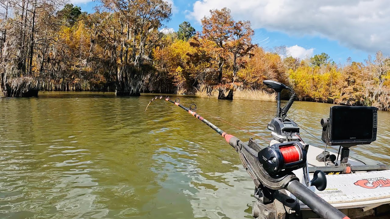 Catfishing for Money - Santee Cooper