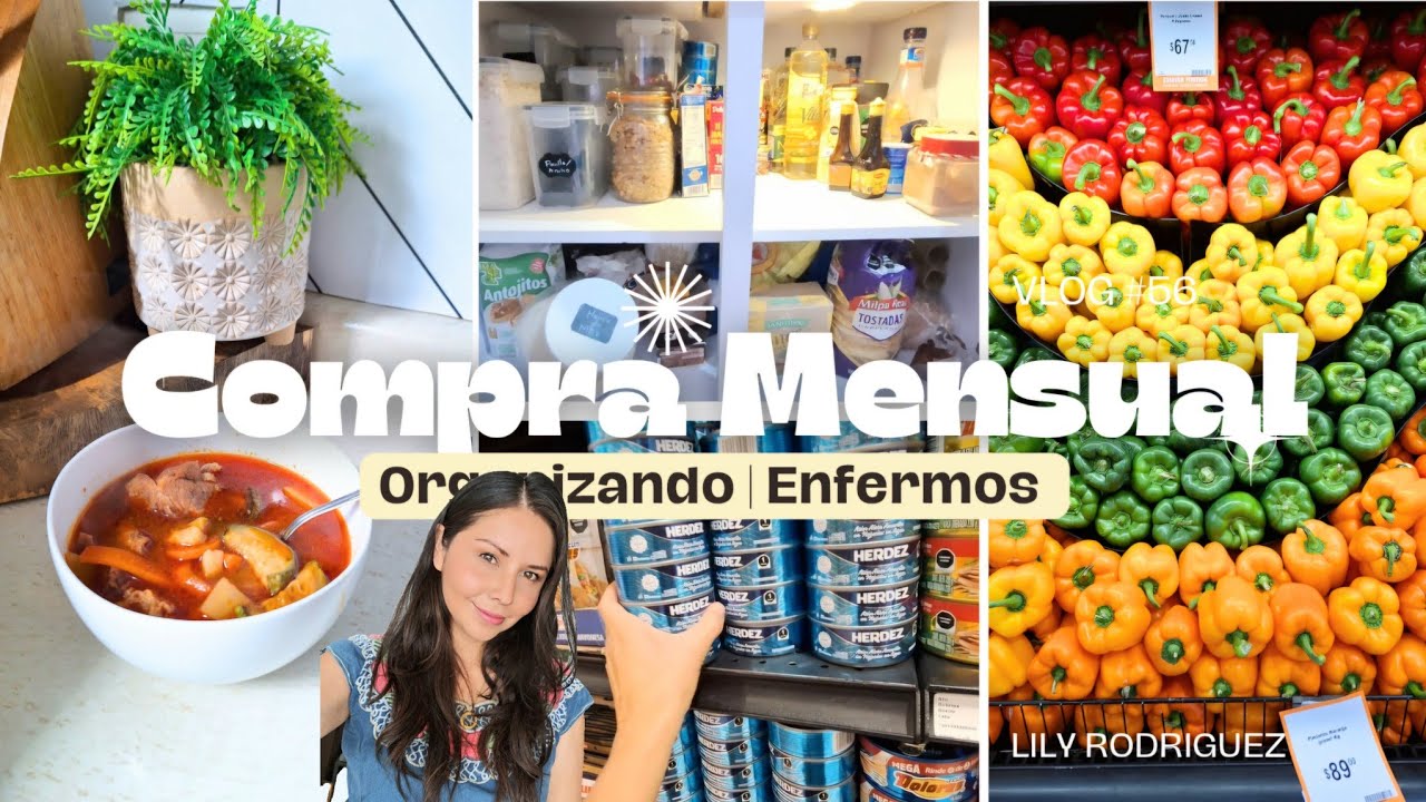 Organizando la DESPENSA MENSUAL 🏡 Días de reposo