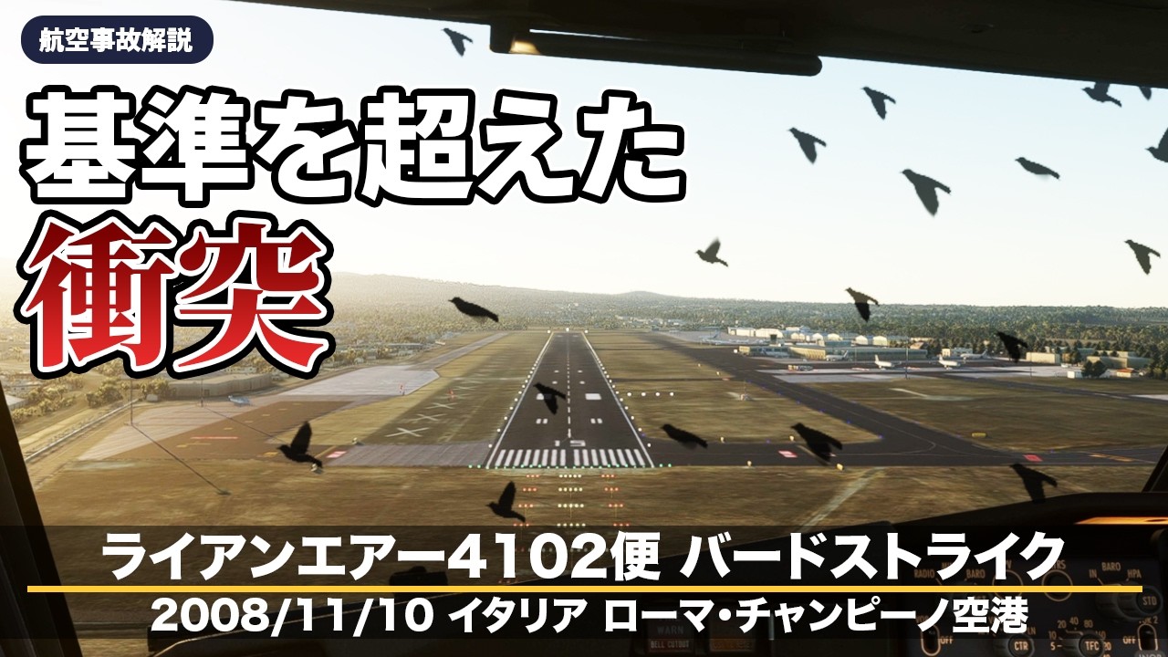 【解説】ライアンエアー4102便 バードストライク【航空事故】