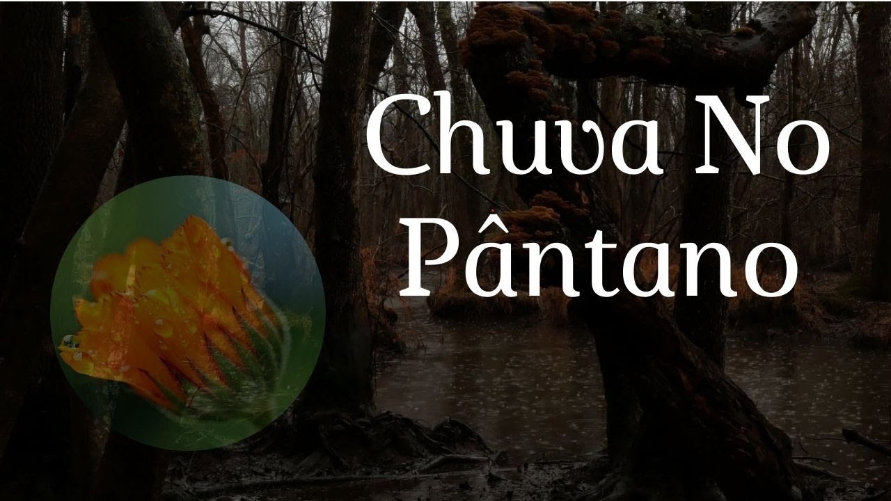💤Durma [ Em Poucos Minutos ] Com Chuva Relaxante🌧️ e Sons Do P&acirc;ntano🦗