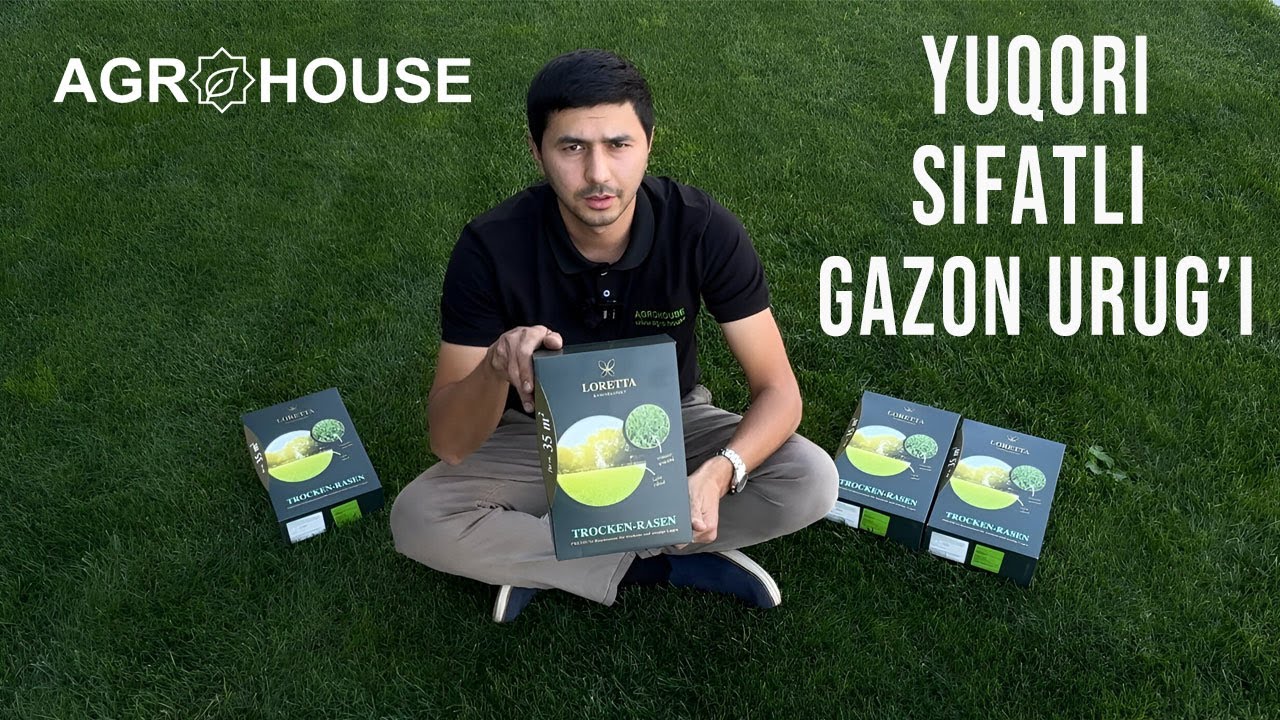 Yuqori sifatli gazon urug'i 