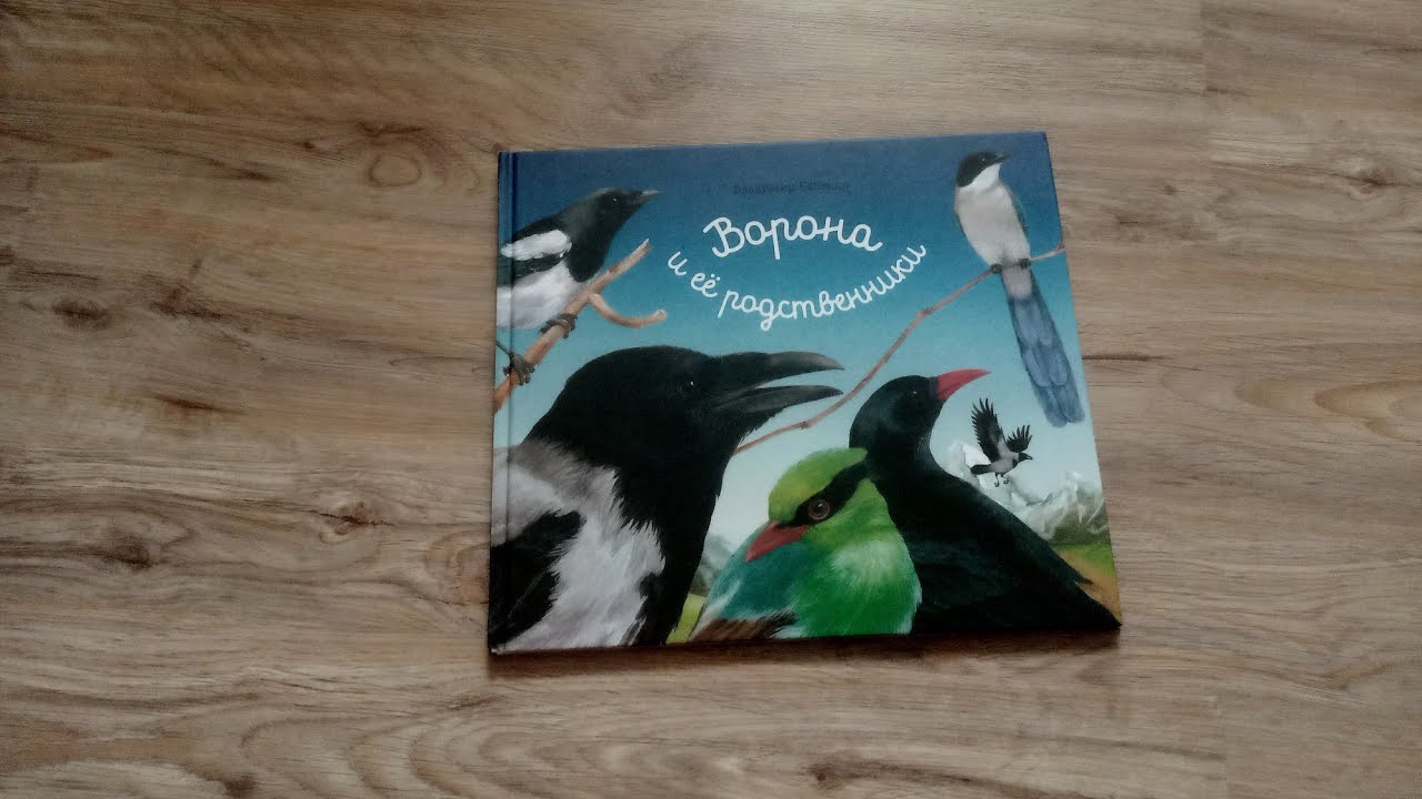 Ворона и её родственники/ В. Бабенко/  ил. Н. Габеевой/ 