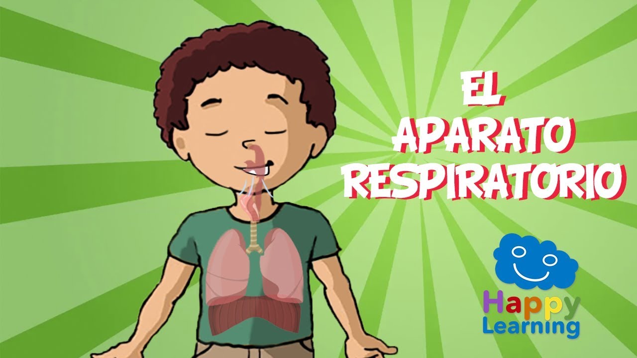 EL APARATO RESPIRATORIO | Videos Educativos para Ni&ntilde;os