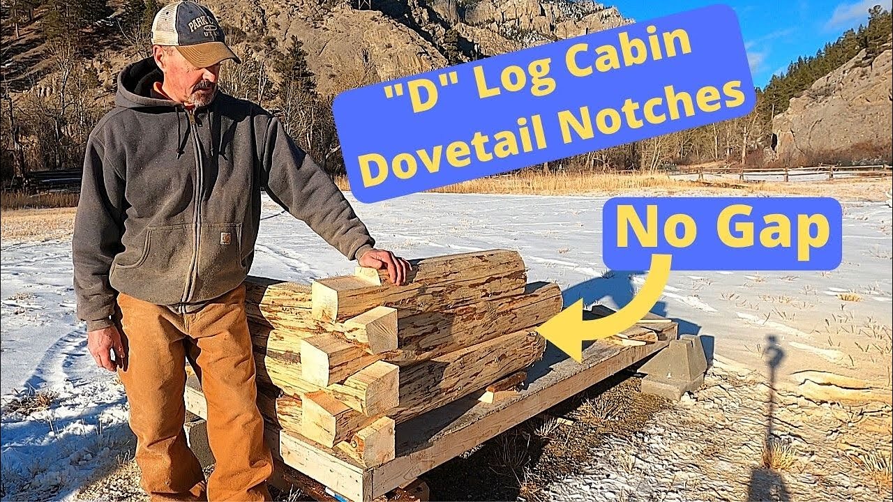 Dovetail notched log cabin with D logs.