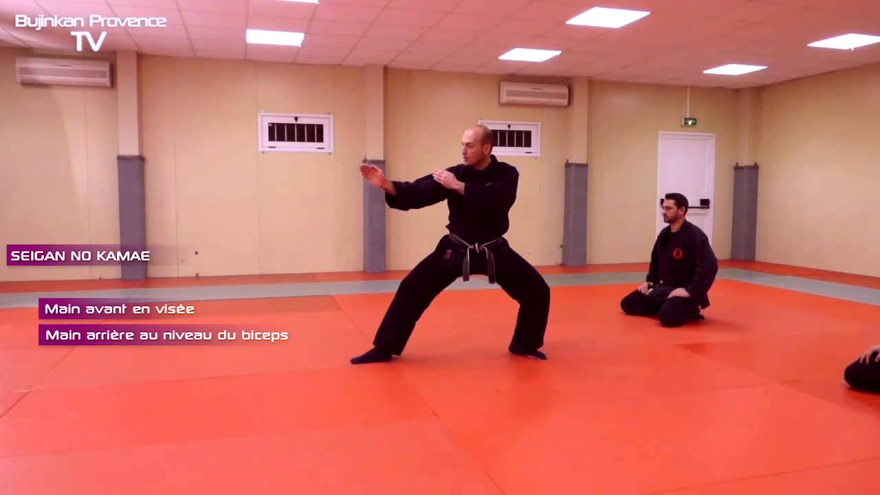 Bujinkan Keiko Ep.01 - Ichimonji vs Seigan -