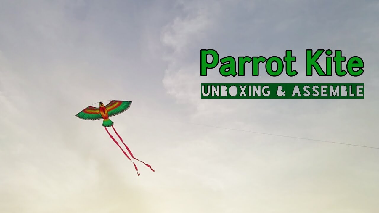 Kite Frenzy! Can Parrot Kite REALLY Fly Higher Than Others? - Parrot Kite Unboxing & Assemble
