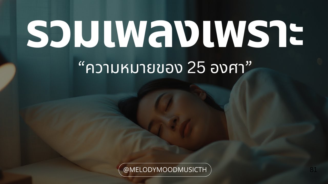 เพลงเพราะๆ ฟังสบายๆ 2026 | ความหมายของ 25 องศา | รวมเพลง T-Pop R&B หวานละมุน อบอุ่น - Music Longplay