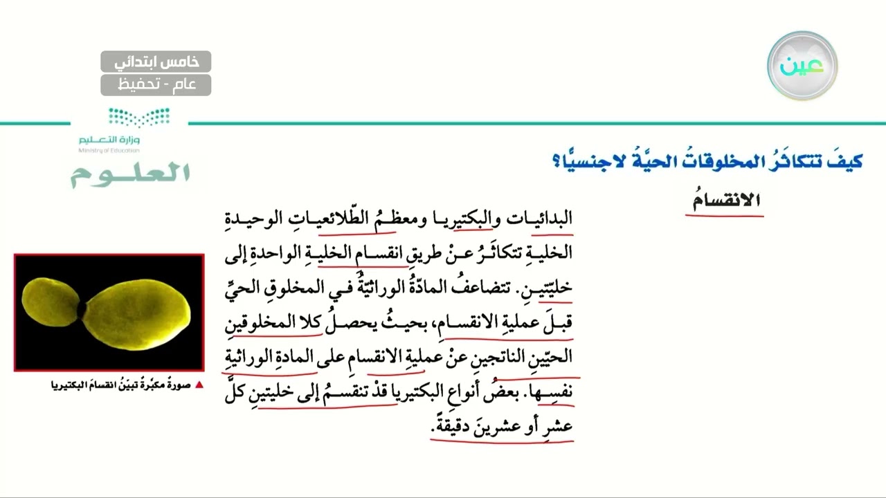 كيف تتكاثر المخلوقات لا جنسيا ؟  - العلوم - خامس ابتدائي