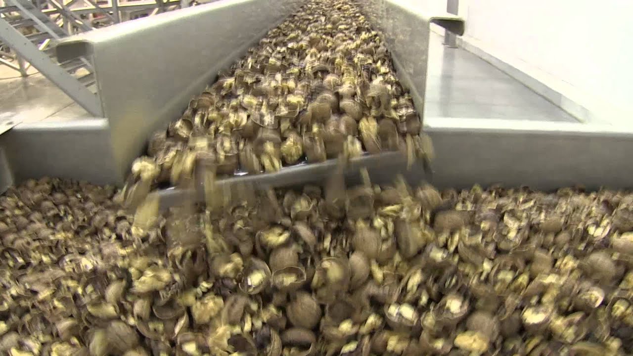 Poindexter Nut Company Plant
