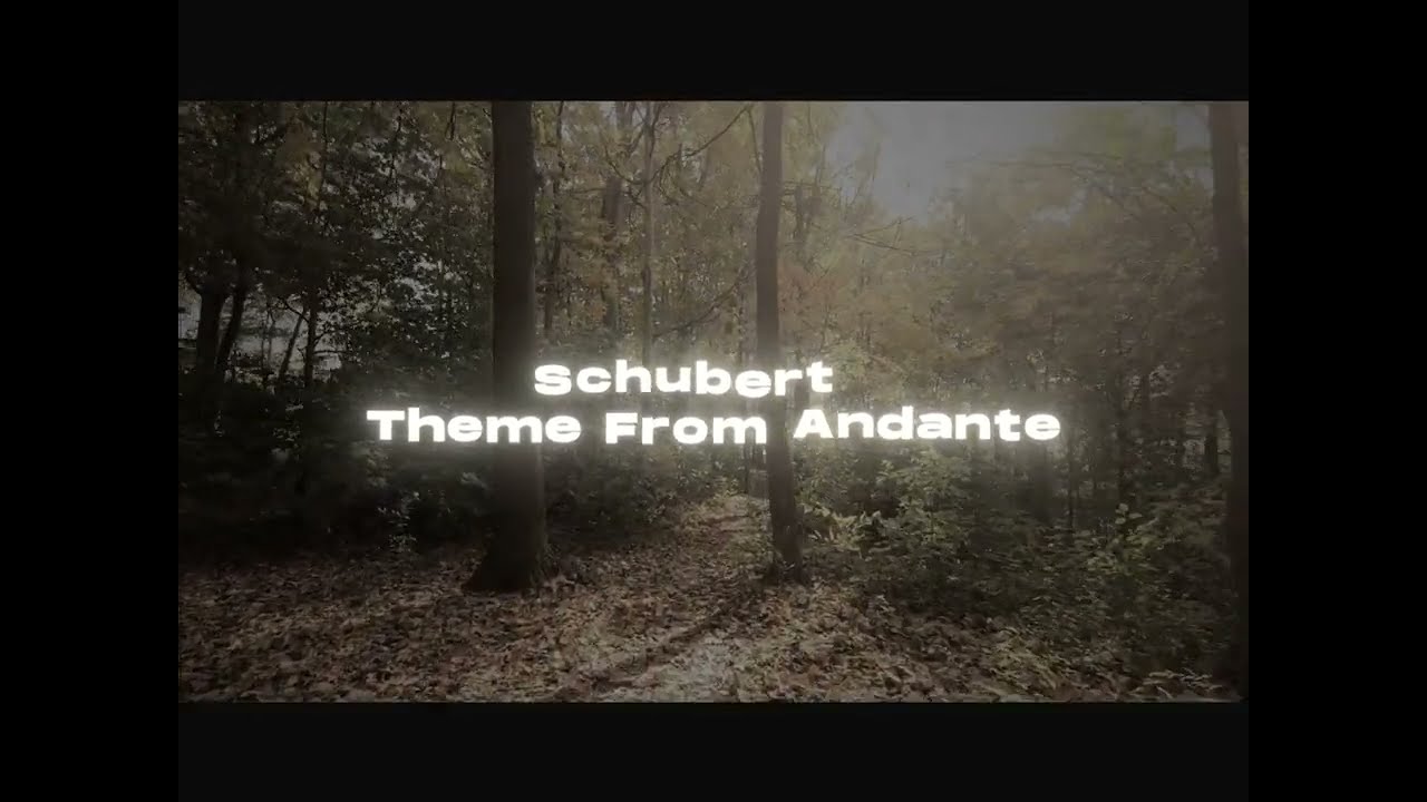 Music for Reading | #EnchantedReading - 1 | Schubert - Theme From Andante