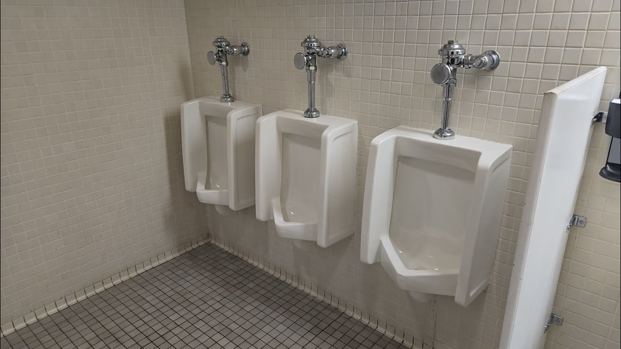 [443] American Standard Lynbrook Urinals and Glenco Toilets in NY State Library