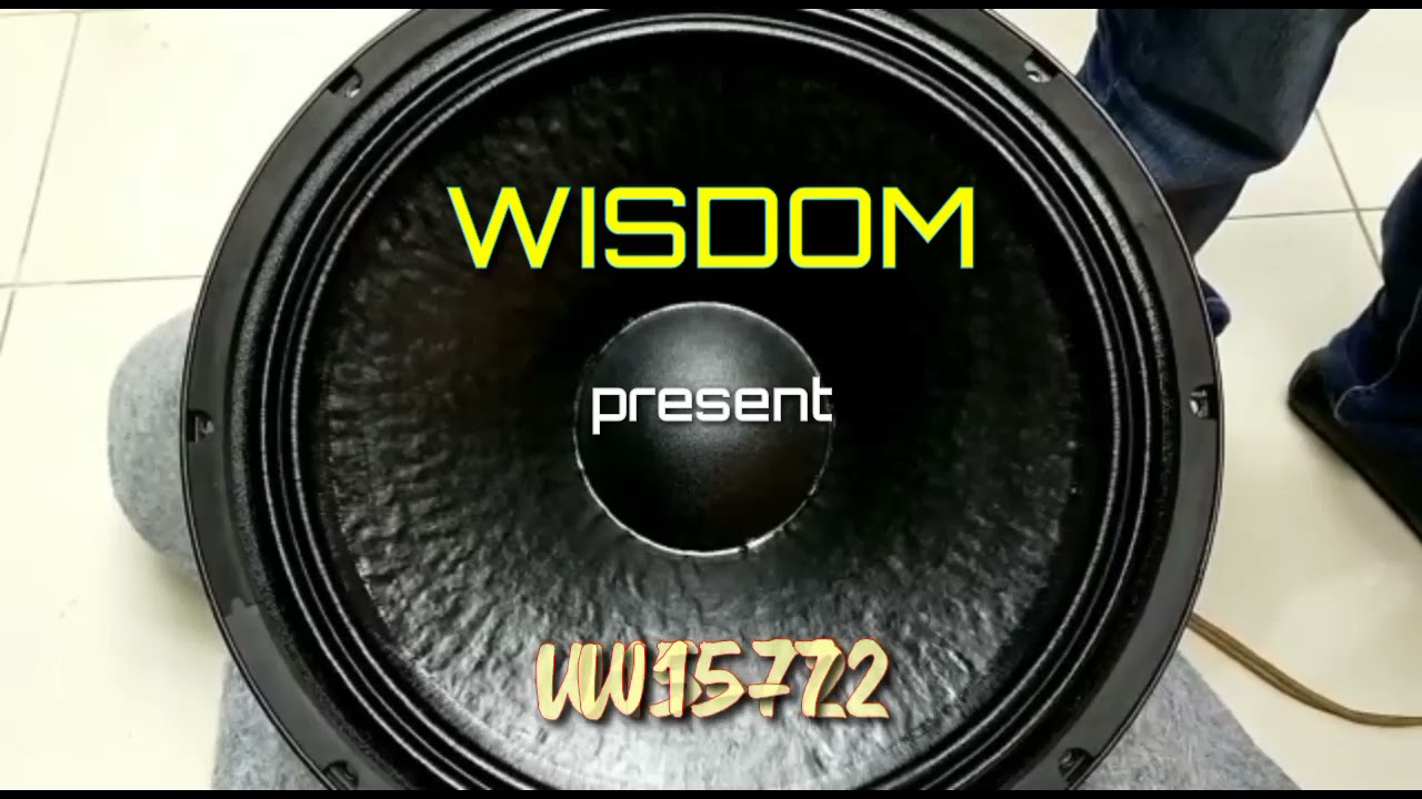 Wisdom Woofer W15-72 #wisdom #woofer