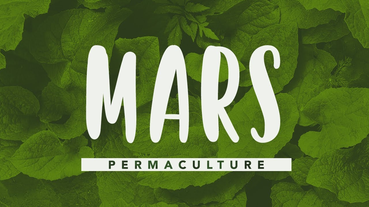Que faire dans son jardin permaculture en mars? #permaculture