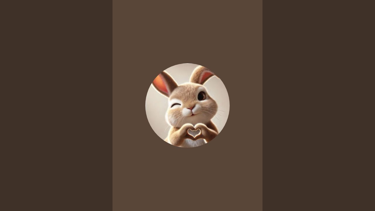 Cats_Shorts is live!
