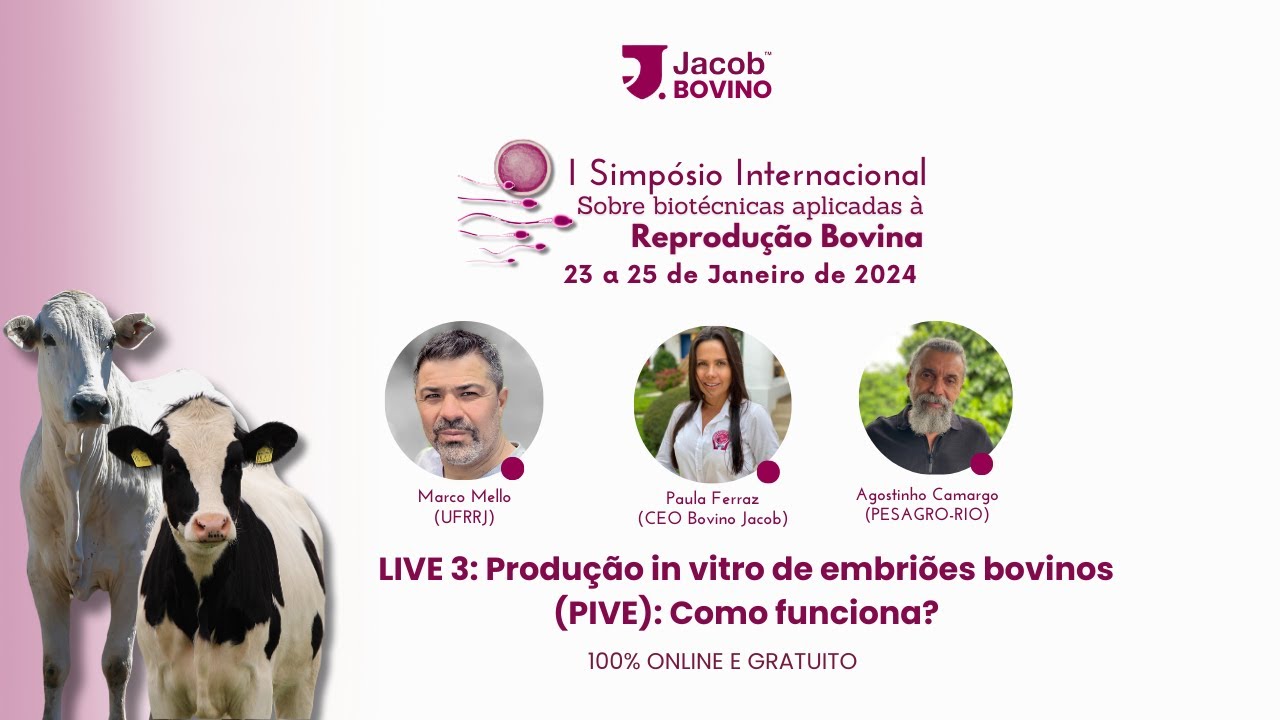 LIVE 3: Produção in vitro de embriões bovinos (PIVE): Como funciona?