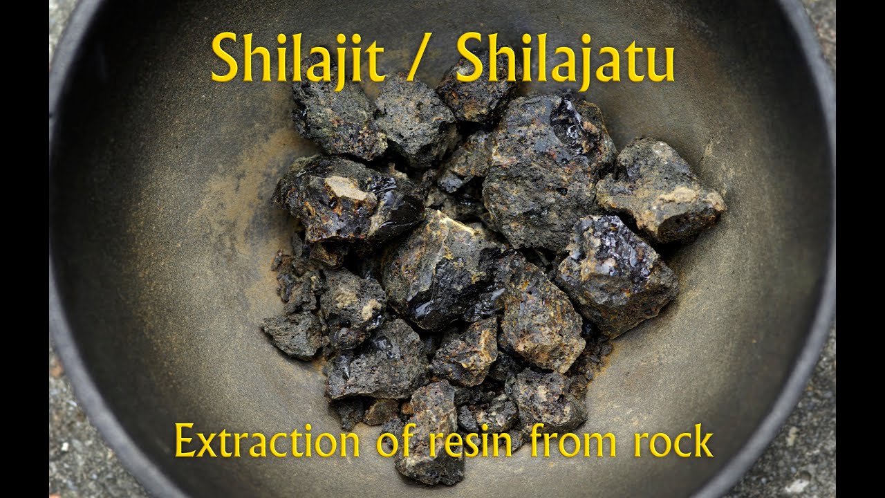 Extraction of Shilajit (Shilajatu) from rock in Rasa Shastra