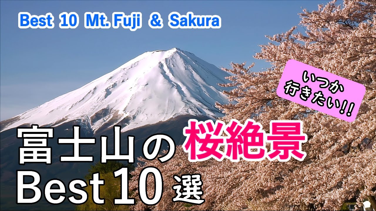 富士山の桜絶景ベスト10選 / 河口湖・新倉富士浅間神社・冨士霊園・狩宿の下馬桜・田貫湖など / Top 10 best views of Mt. Fuji and cherry blossoms