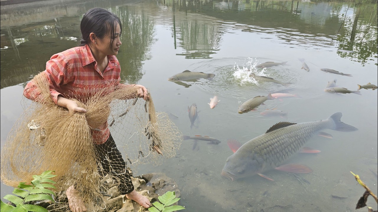 I Threw One Net&hellip; And Caught THIS MUCH?!