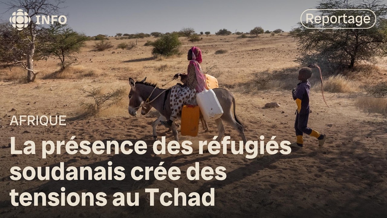 Le manque d'eau et les camps de réfugiés soudanais au Tchad, un énorme défi