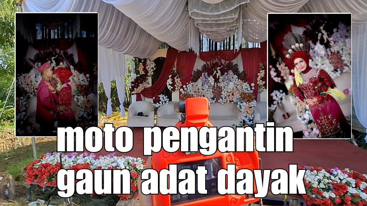 Moto perdana pengantin pakai baju adat dayak..@Ridhobarda77 