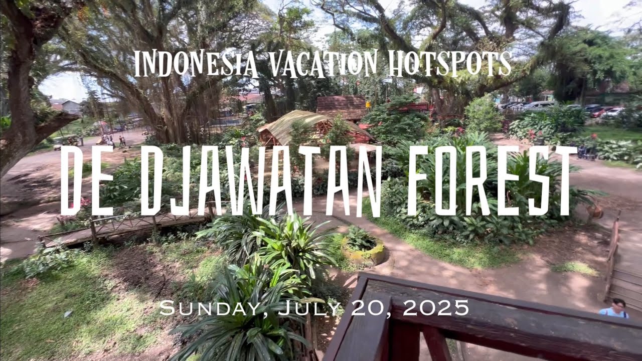 Vacation Hotspot: De Djawatan Forest of Banyuwangi