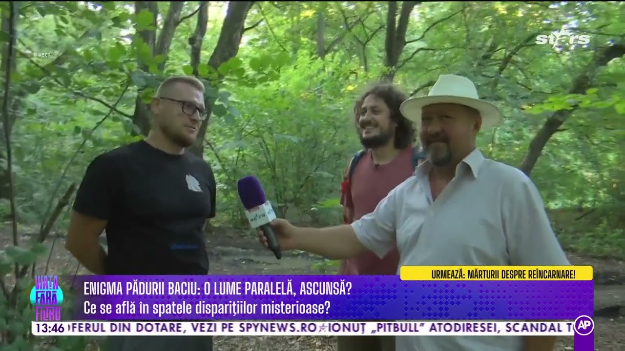 Pădurea Hoia - Baciu, cel mai bântuit loc din România? Aparițiile paranormale nasc teroarea în sufle