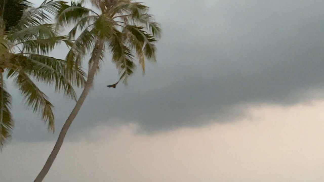 Dhaalu Atoll, Maldives - Riu Atoll Resort - Bats (2022)