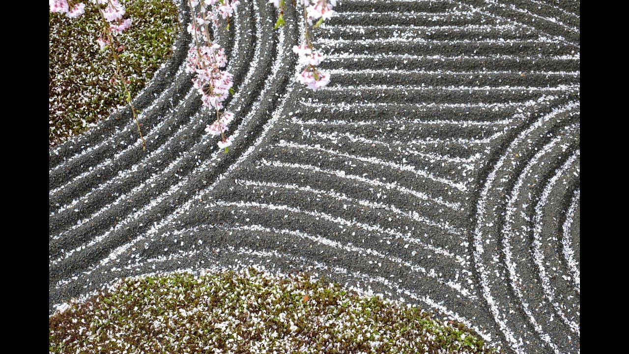 おうちで坐禅 ～桜吹雪と石庭～　Zazen at home ~ rain of sakura petals ~ by 妙心寺退蔵院 Taizoin Zen Buddhist Temple