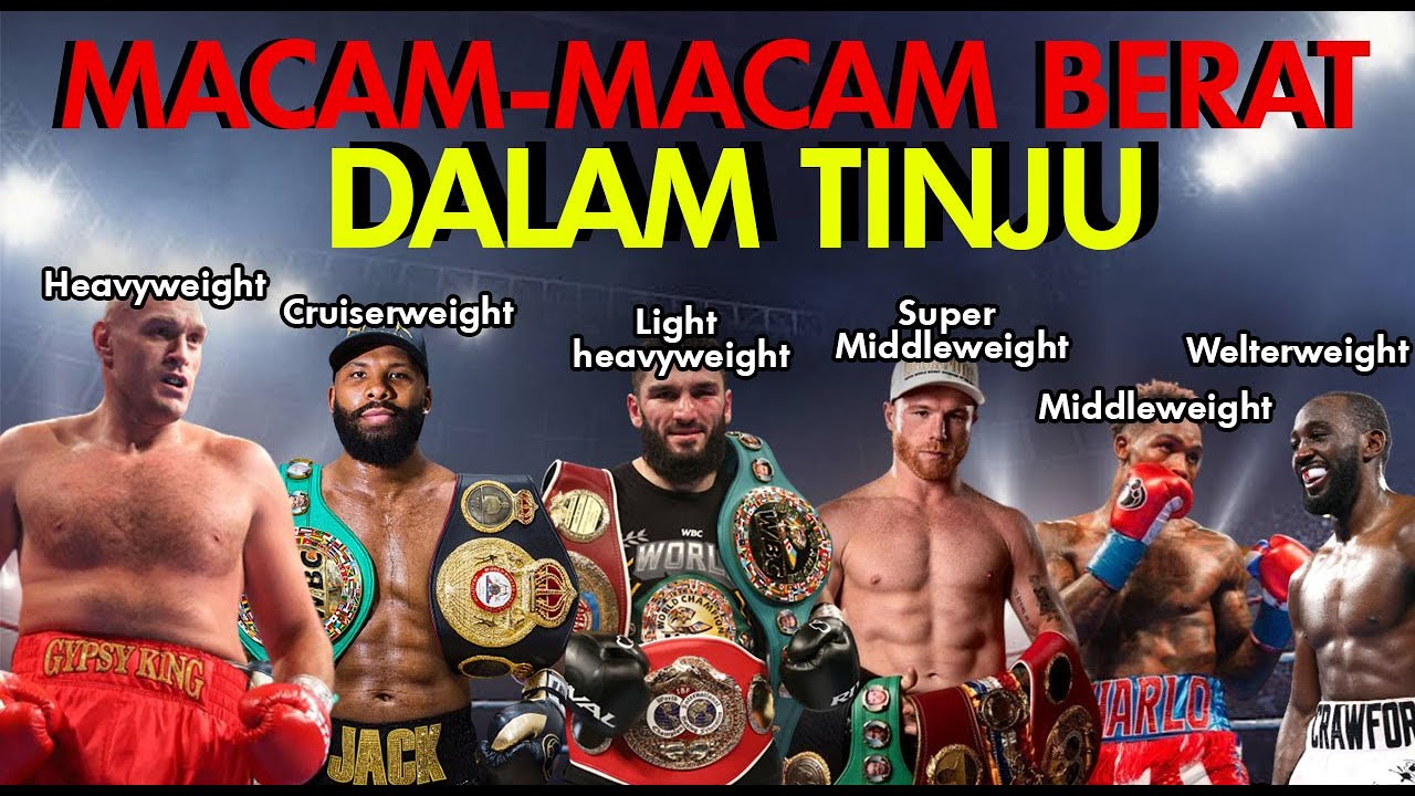 BERITA TINJU DUNIA : APA SAJA KELAS DALAM TINJU ?