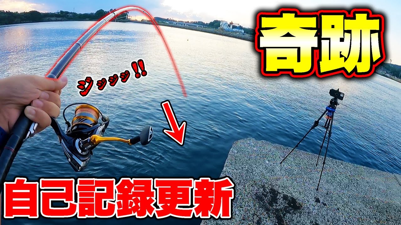 【離島生活#57】堤防から突然まさかの超大物が！！