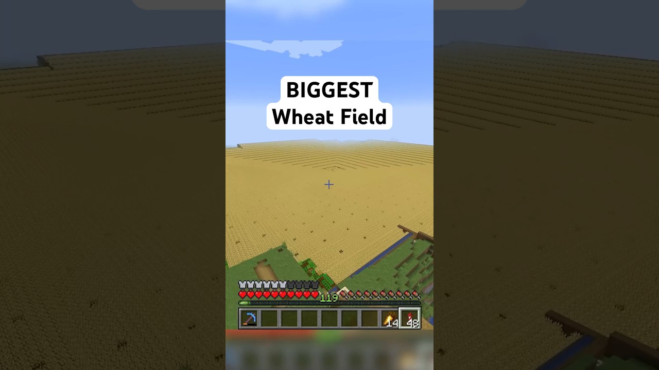 Harvesting ALL The Wheat At Once!